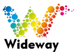 wdmtraffic.com logo